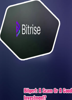 Bitgert bitrise