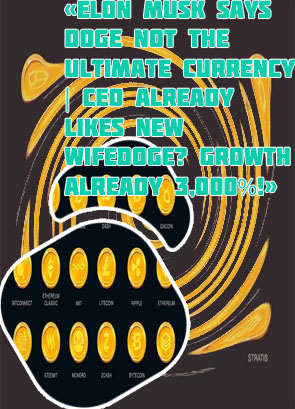 Wifedoge cryptocurrency